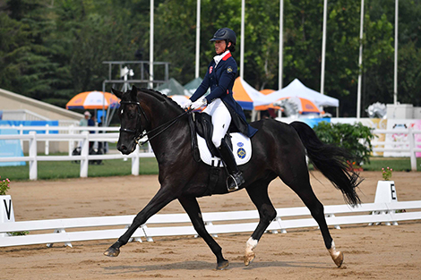 Siu Wing-ying (equestrian)