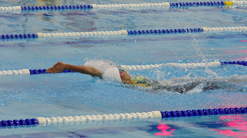 Chan Yui-lam (para swimming)