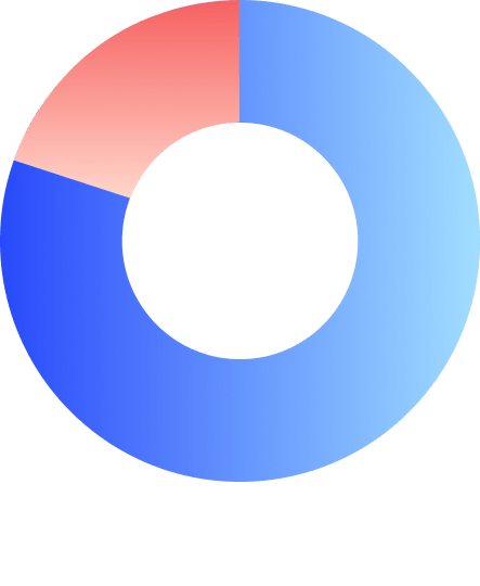 expenditure pie chart