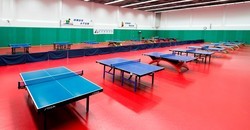 TABLE TENNIS HALL