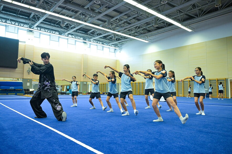 <p>Elite wushu athletes demonstrate the basic moves in taijiquan, nanquan, and jianshu, and share some of the obstacles one must overcome to become a star quality wushu athlete.</p>
