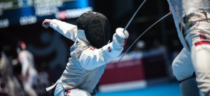 Fencing