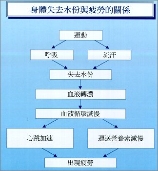 身 体 失 去 水 份 与 疲 劳 的 关 系
