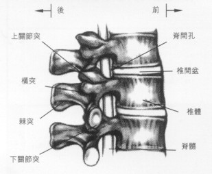 图一